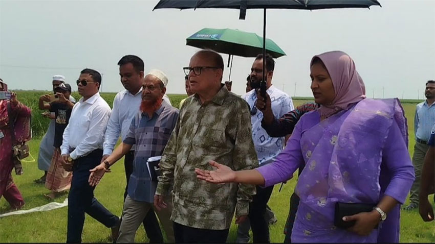 খাদ্য নিরাপত্তা নিয়ে কোনো শঙ্কা নেই: খাদ্য উপদেষ্টা