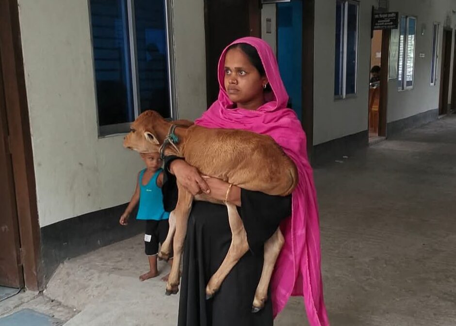 আদালত পাড়ায় হাজির হয়েছেন নারগিস, ছবি – নিউজনেক্সট। গাভী নিয়ে গেলেন বিএনপি নেতা, বাছুর কোলে নিয়ে আদালতে নারগিস
