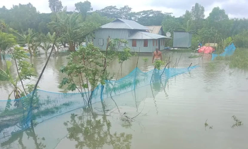 মঠবাড়িয়ায় শক্তির তাণ্ডবে ২ হাজার হেক্টর ফসলি জমি প্লাবিত
