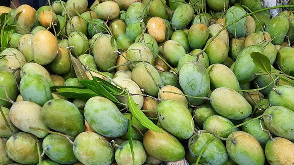 ডায়াবেটিস বা ওজন কমাতে চাইলে আম খাওয়া যাবে, তবে মানতে হবে নিয়ম