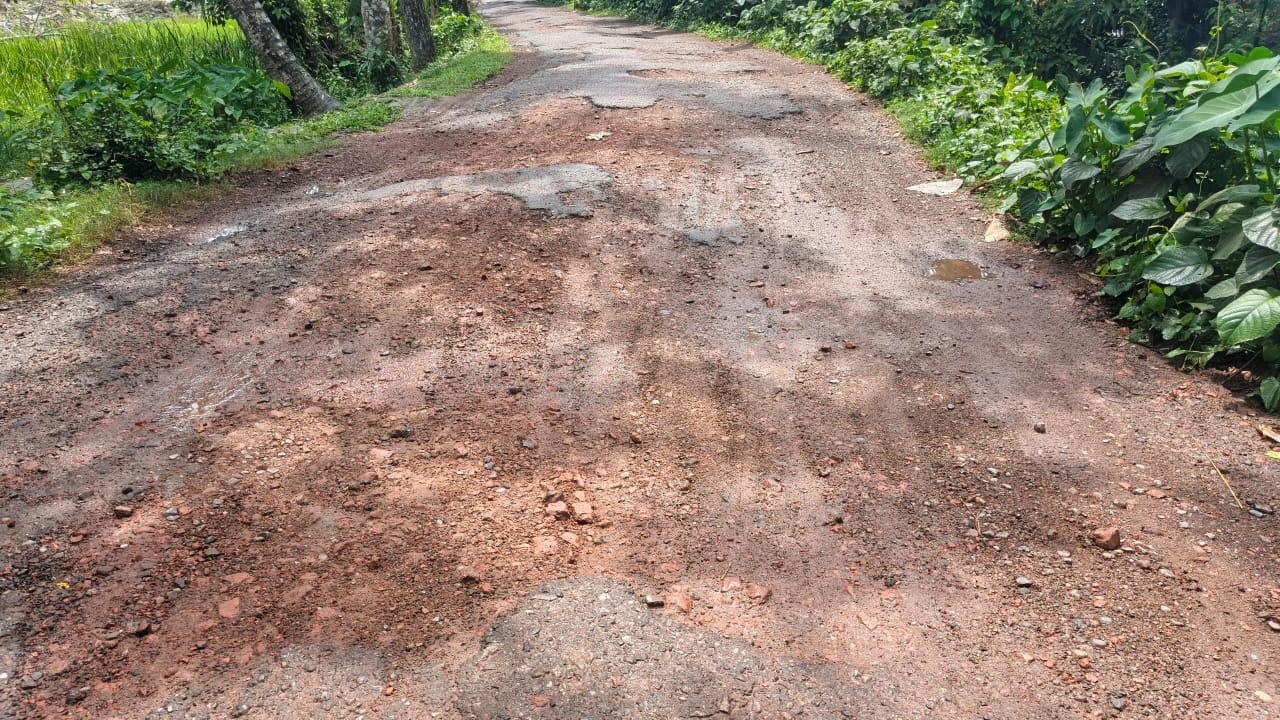প্রায় ৯ কিলোমিটার দীর্ঘ একটি সড়ক বর্তমানে চরম বেহাল অবস্থায় রয়েছে। ঝালকাঠি সদরে ৯ কিলোমিটারের ভাঙাচোরা পথে সীমাহীন দুর্ভোগ