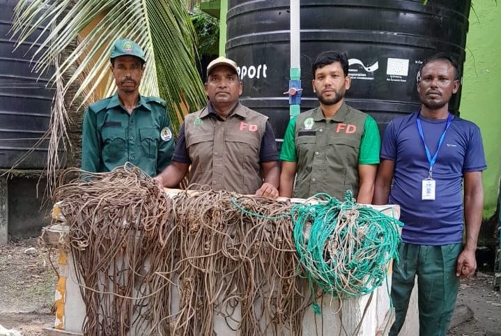 সুন্দরবনে হরিণ ধরার ফাঁদ উদ্ধার