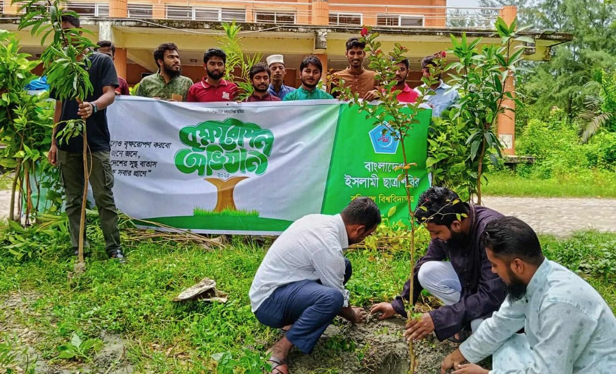 ববি ছাত্রশিবিরের বৃক্ষরোপণ কর্মসূচি