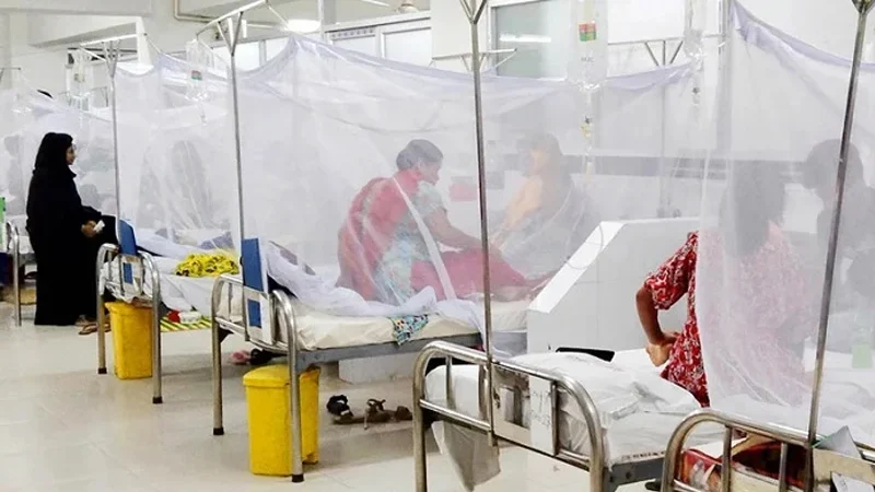 ২৪ ঘণ্টায় ডেঙ্গুতে মৃত্যু ৫, বরিশালেই ৪ জন