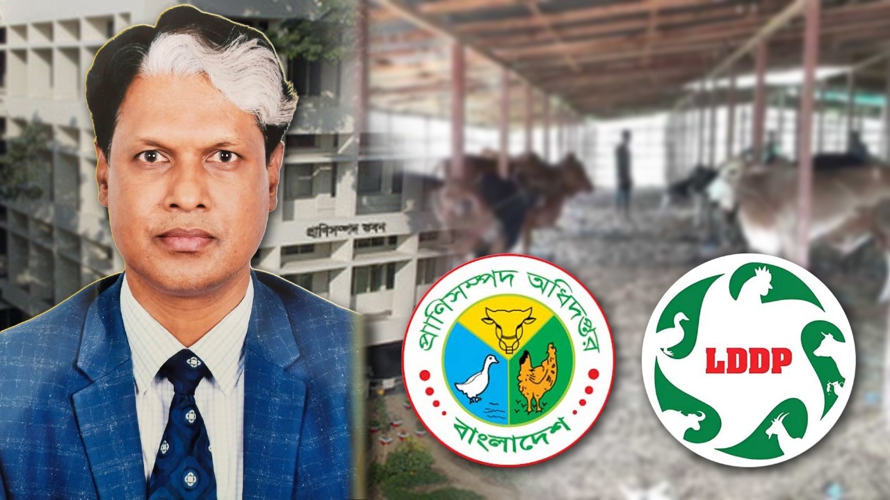 প্রাণিসম্পদ উন্নয়ন প্রকল্পে কোটি টাকার লুটপাট, অভিযোগের কেন্দ্রে কৃষিবিদ গোলাম রব্বানী