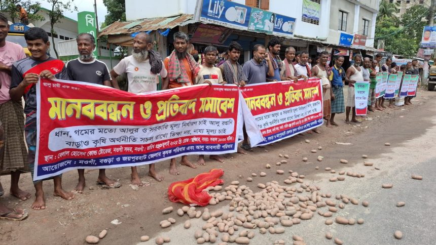 নওগাঁ সড়কে আলু ফেলে কৃষকদের প্রতিবাদ