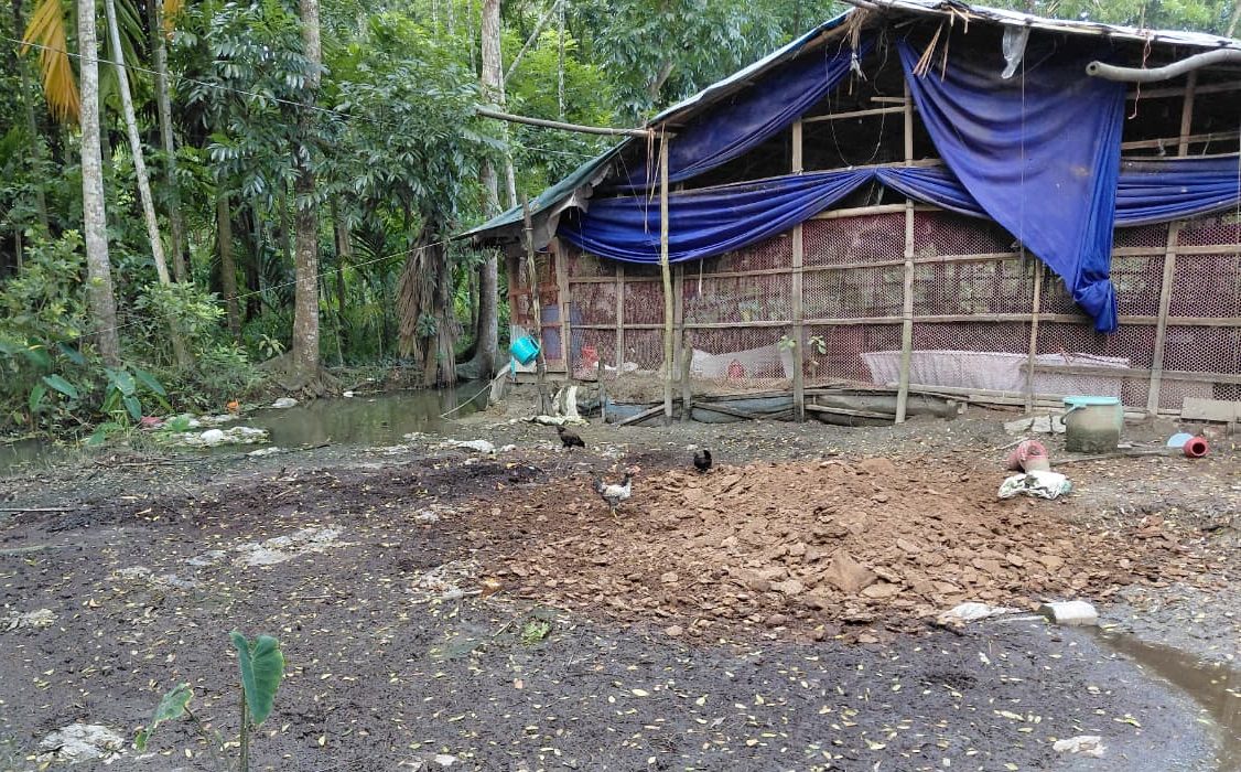 পোল্ট্রি খামারের দুর্গন্ধে অতিষ্ঠ বরগুনার দেশান্তরকাঠী গ্রামবাসী, স্থানান্তরের দাবি