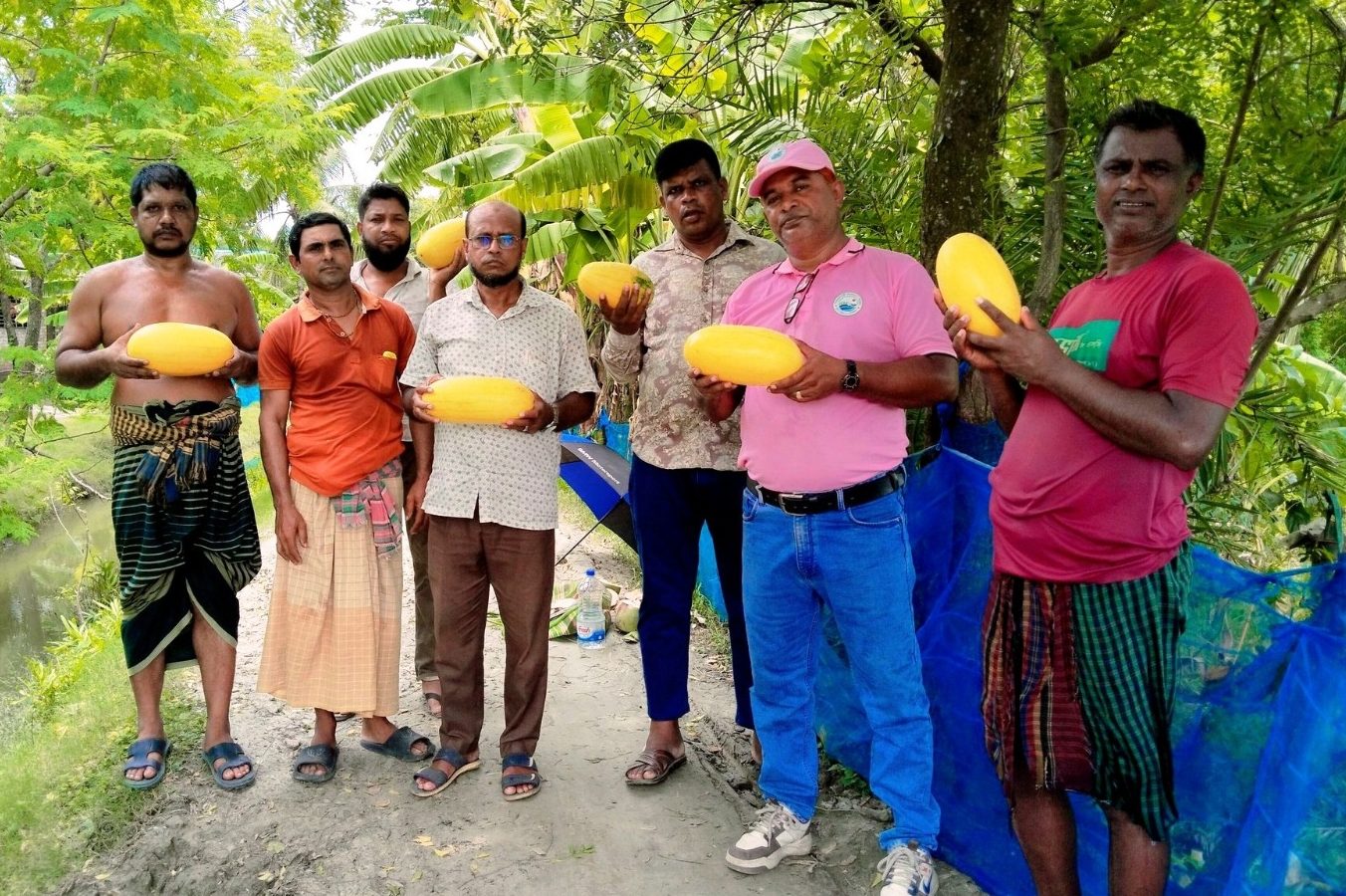 সাতক্ষীরায় অসময়ের তরমুজ চাষে বাম্পার ফলন