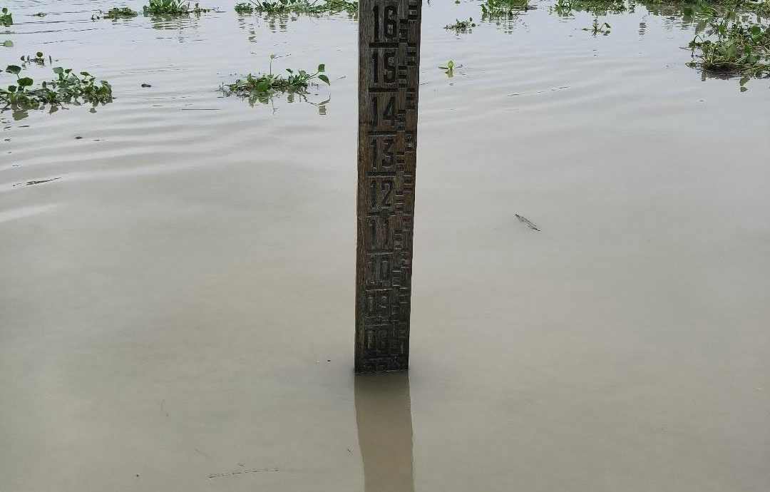 বগুড়ায় হু হু করে বাড়ছে যমুনার পানি, বিপদসীমা ছুঁই ছুঁই