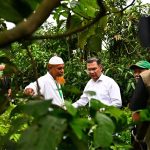 সবুজ বাংলাদেশ গড়তে সবার অংশগ্রহণ চান প্রধানমন্ত্রী
